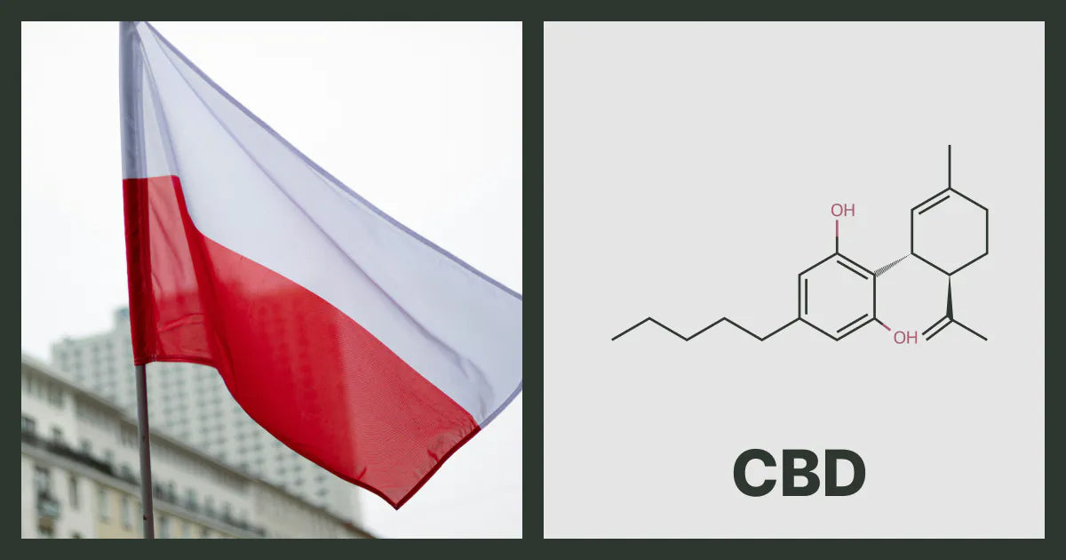 A flag of Poland, next to the chemical structure of CBD