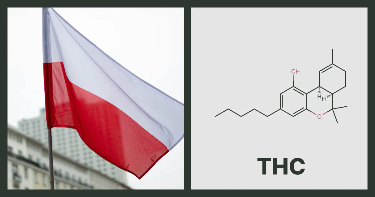 A flag of Poland, next to the chemical structure of THC