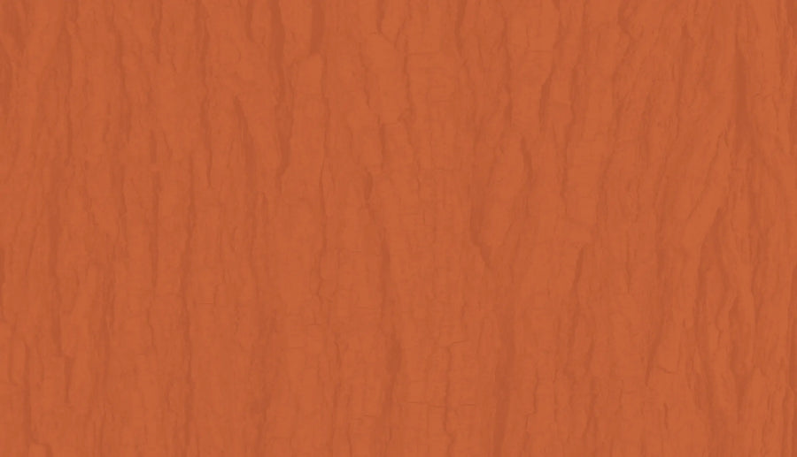 Bark texture over a terracota orange