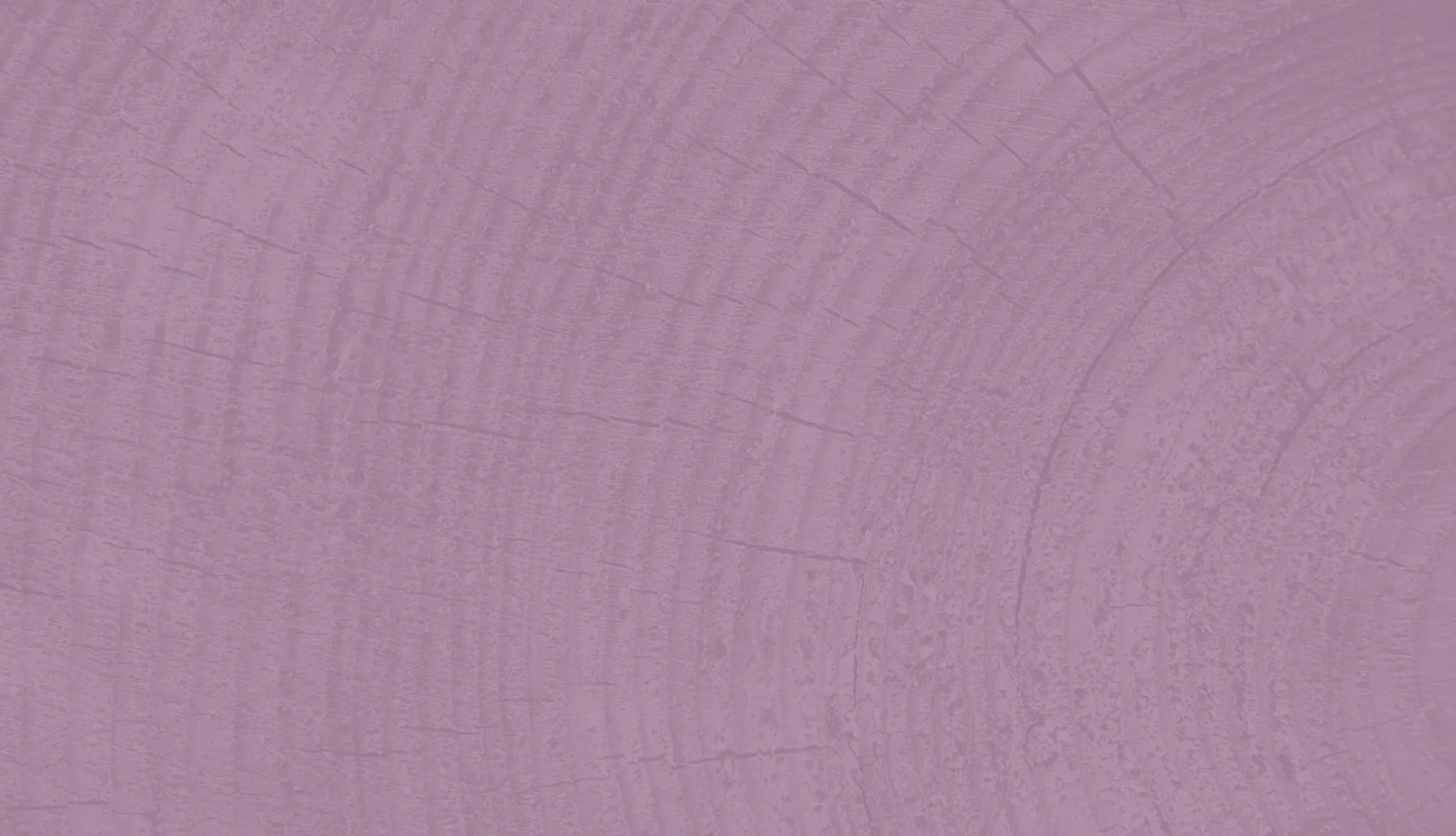 Tree cross-section texture over a pastel lavender purple